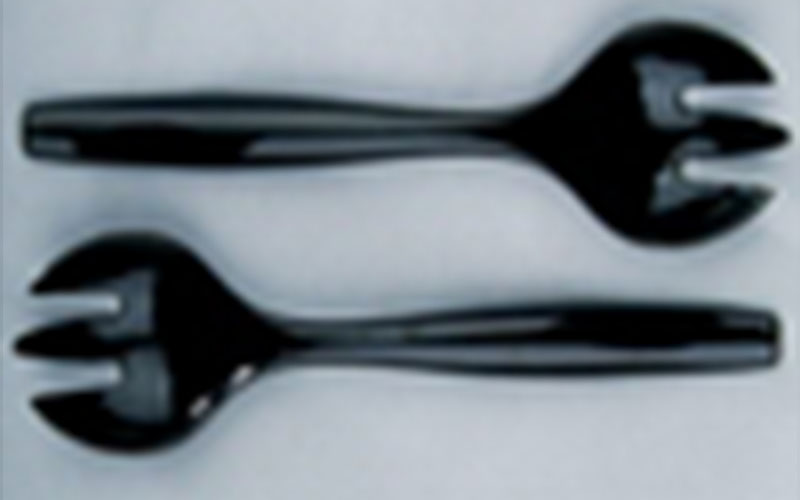 SSV013